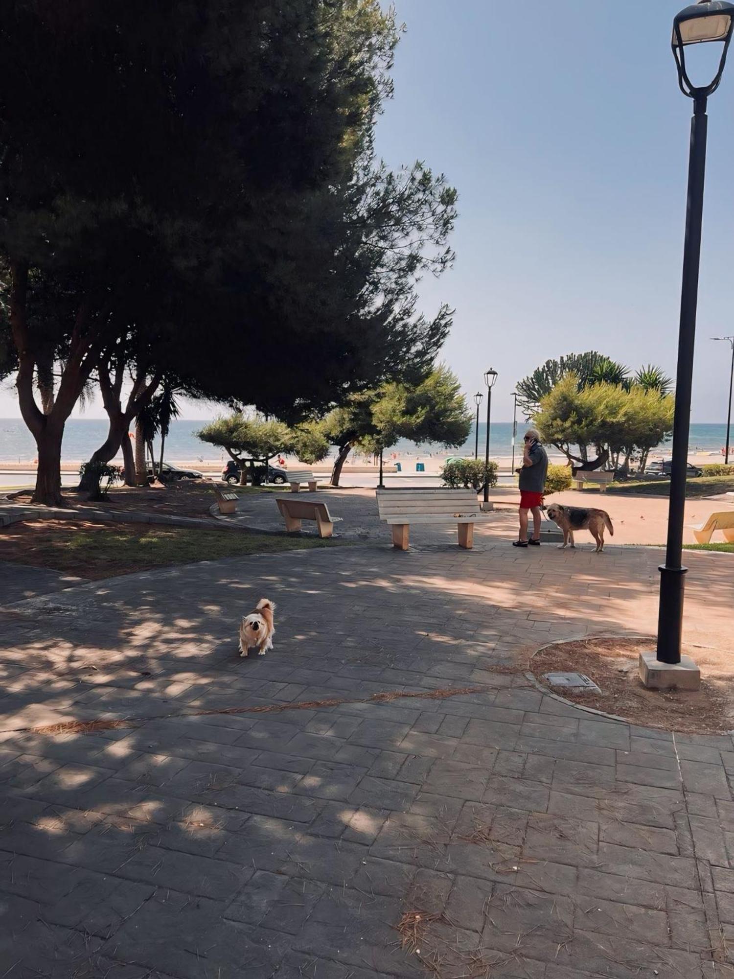 Apartamento 50 Pasos Hacia El Mar El Campello Exterior foto